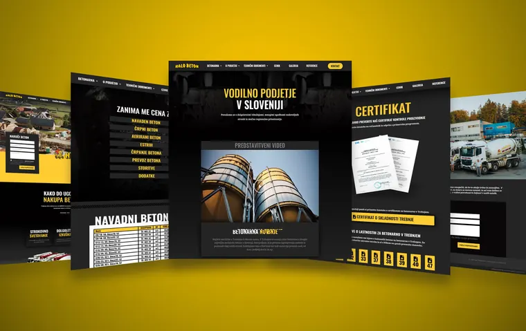 Website design project 24