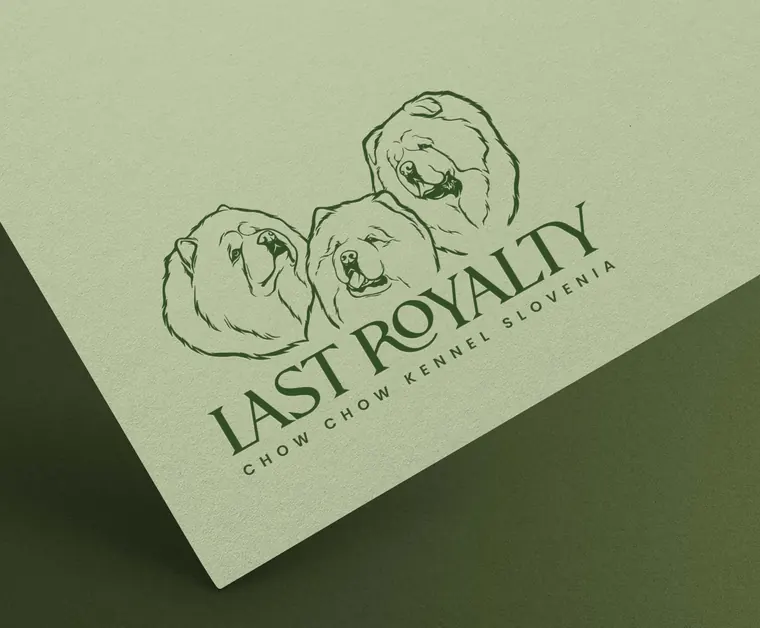 Logo and brand design project 14