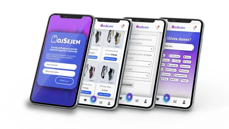 Website design project 29