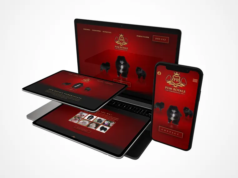 Website design project 23