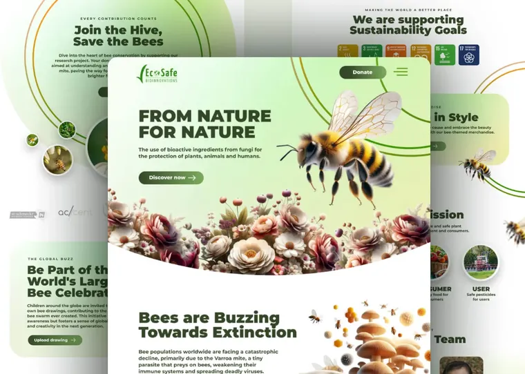 Website design by Studio Merlin